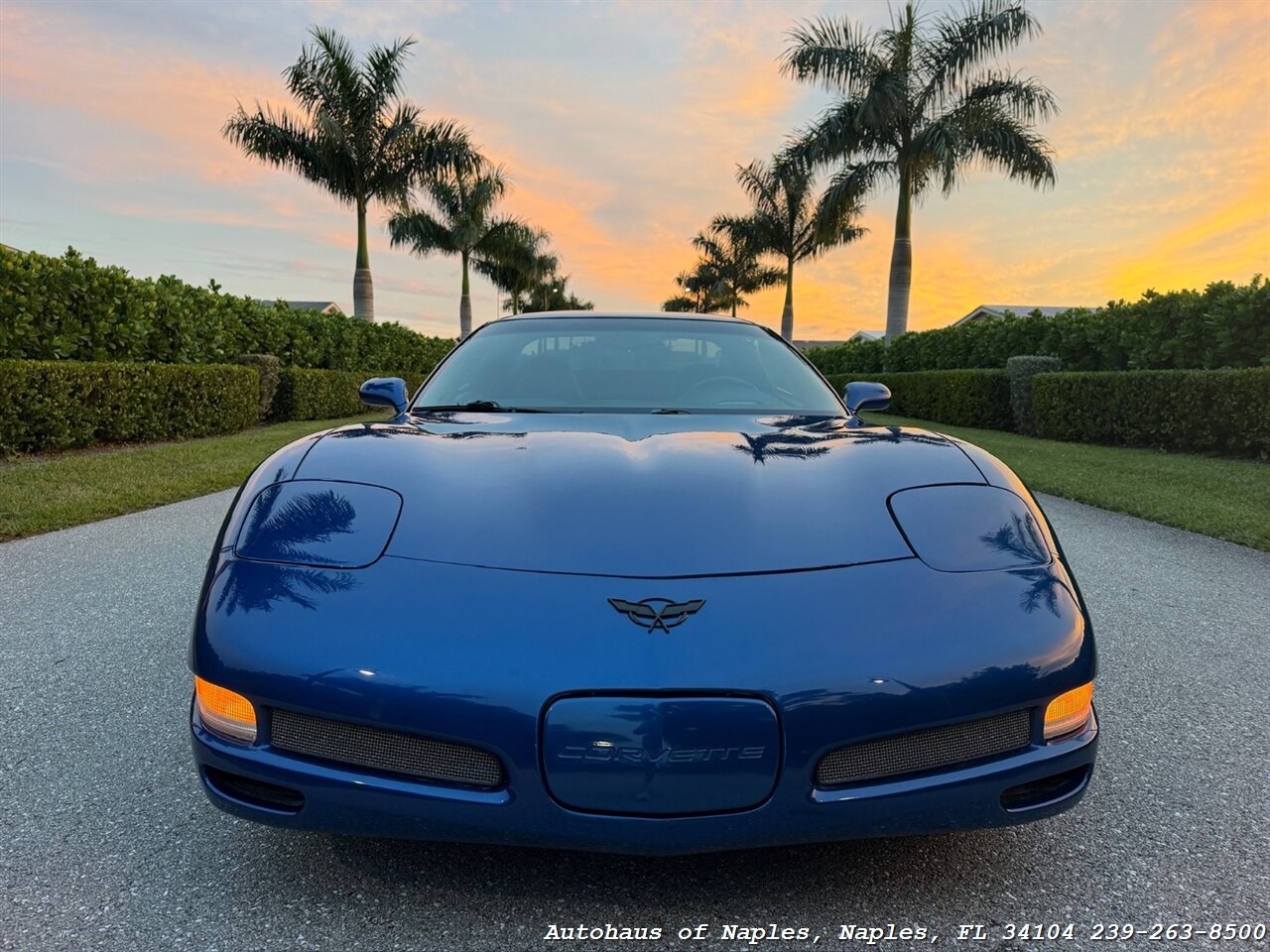 2002 Chevrolet Corvette Z06 - Photo 17 - Naples, FL 34104
