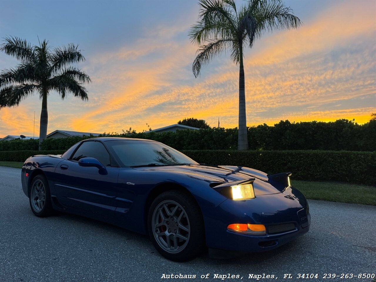 2002 Chevrolet Corvette Z06 - Photo 11 - Naples, FL 34104