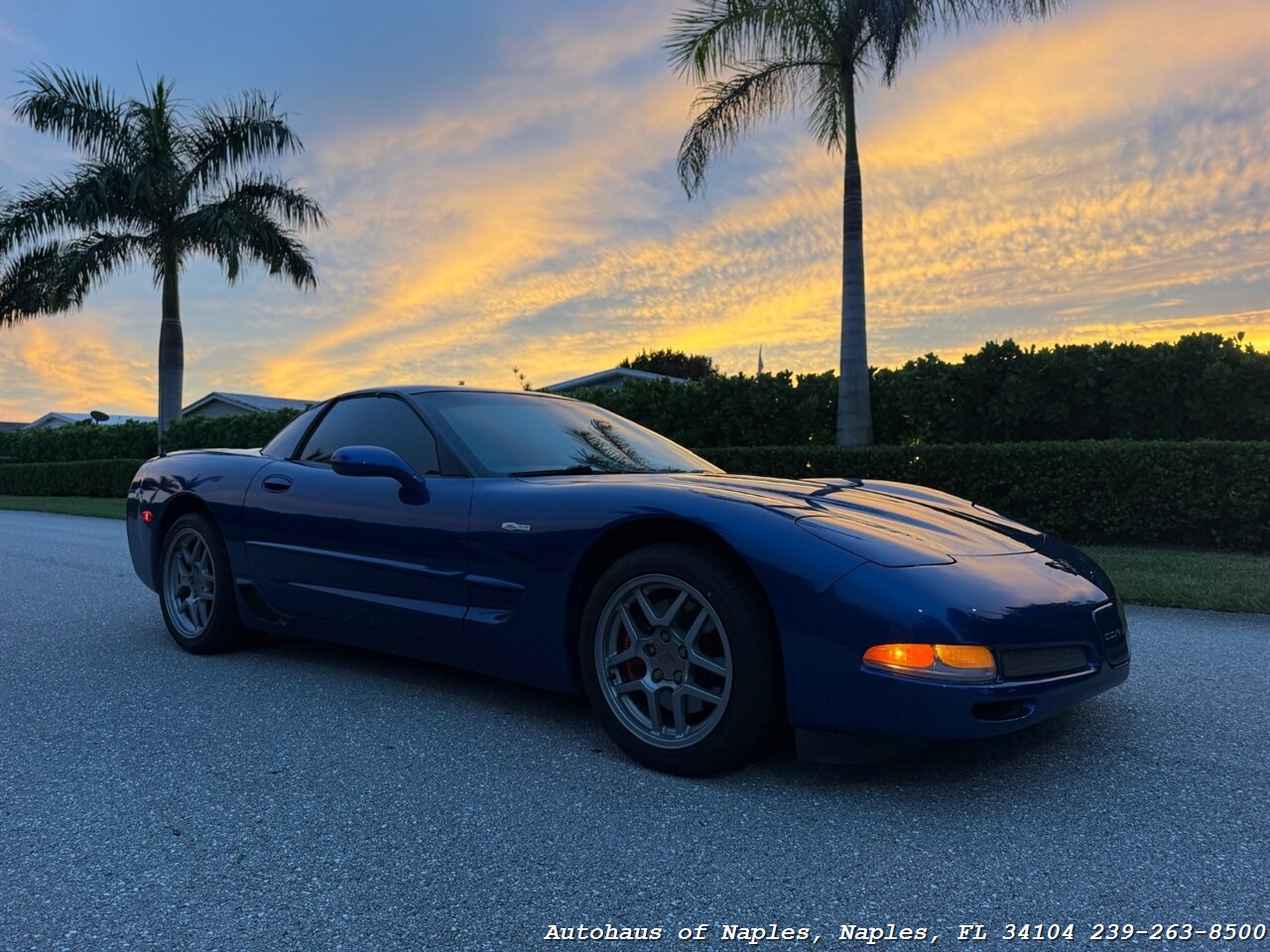 2002 Chevrolet Corvette Z06 - Photo 13 - Naples, FL 34104