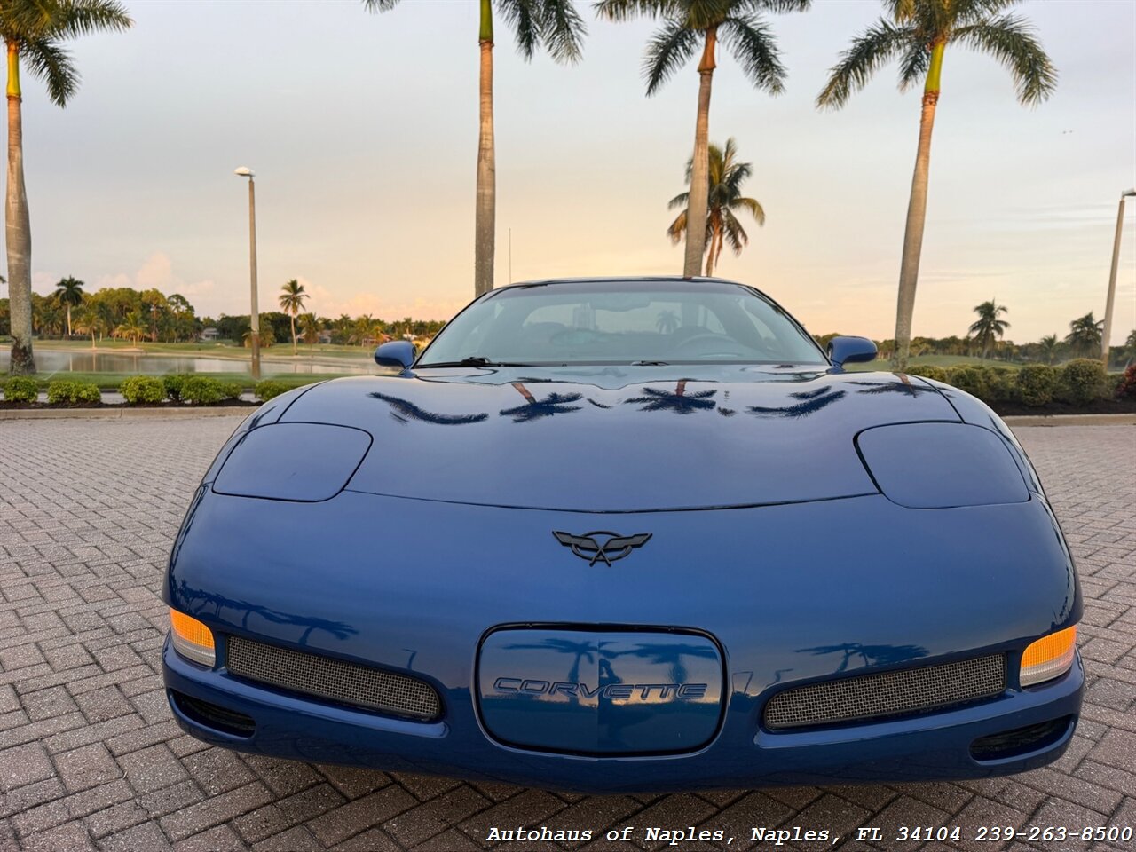 2002 Chevrolet Corvette Z06 - Photo 6 - Naples, FL 34104