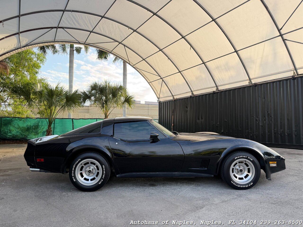 1981 Chevrolet Corvette   - Photo 14 - Naples, FL 34104
