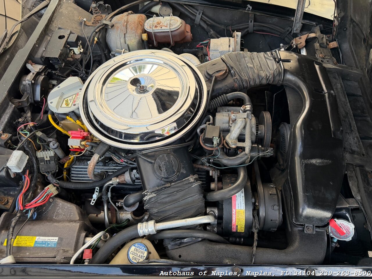 1981 Chevrolet Corvette   - Photo 20 - Naples, FL 34104