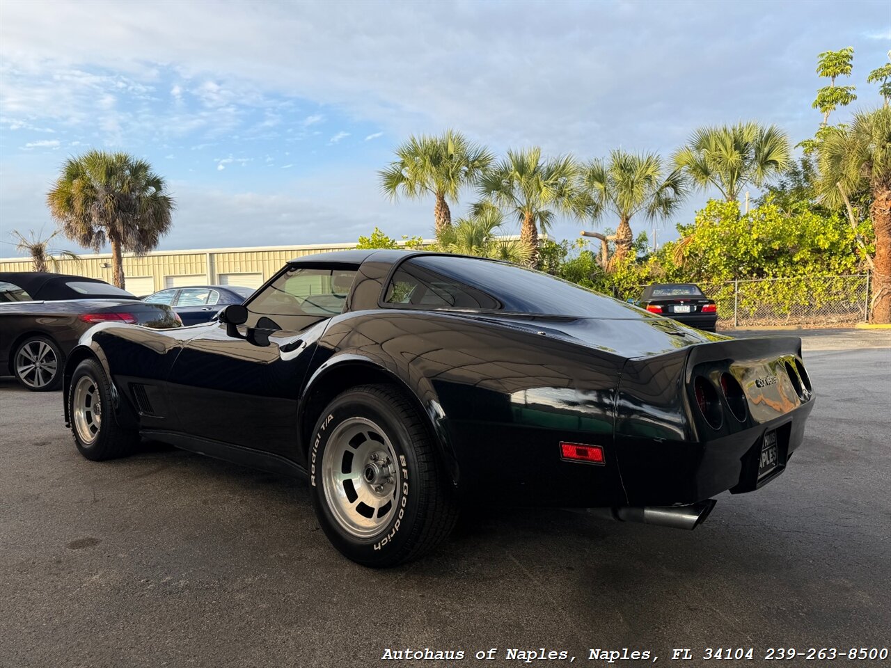 1981 Chevrolet Corvette   - Photo 8 - Naples, FL 34104