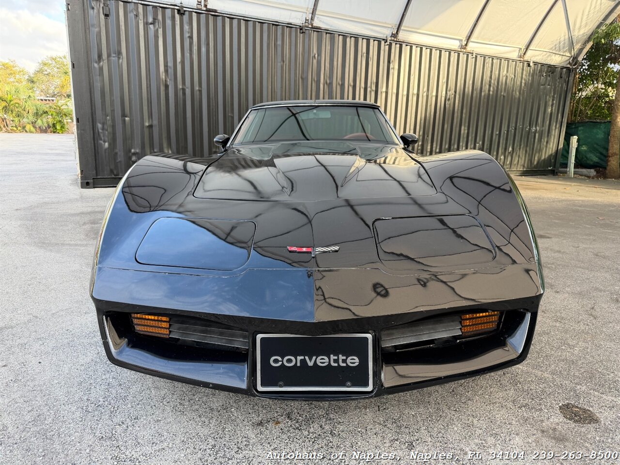 1981 Chevrolet Corvette   - Photo 3 - Naples, FL 34104