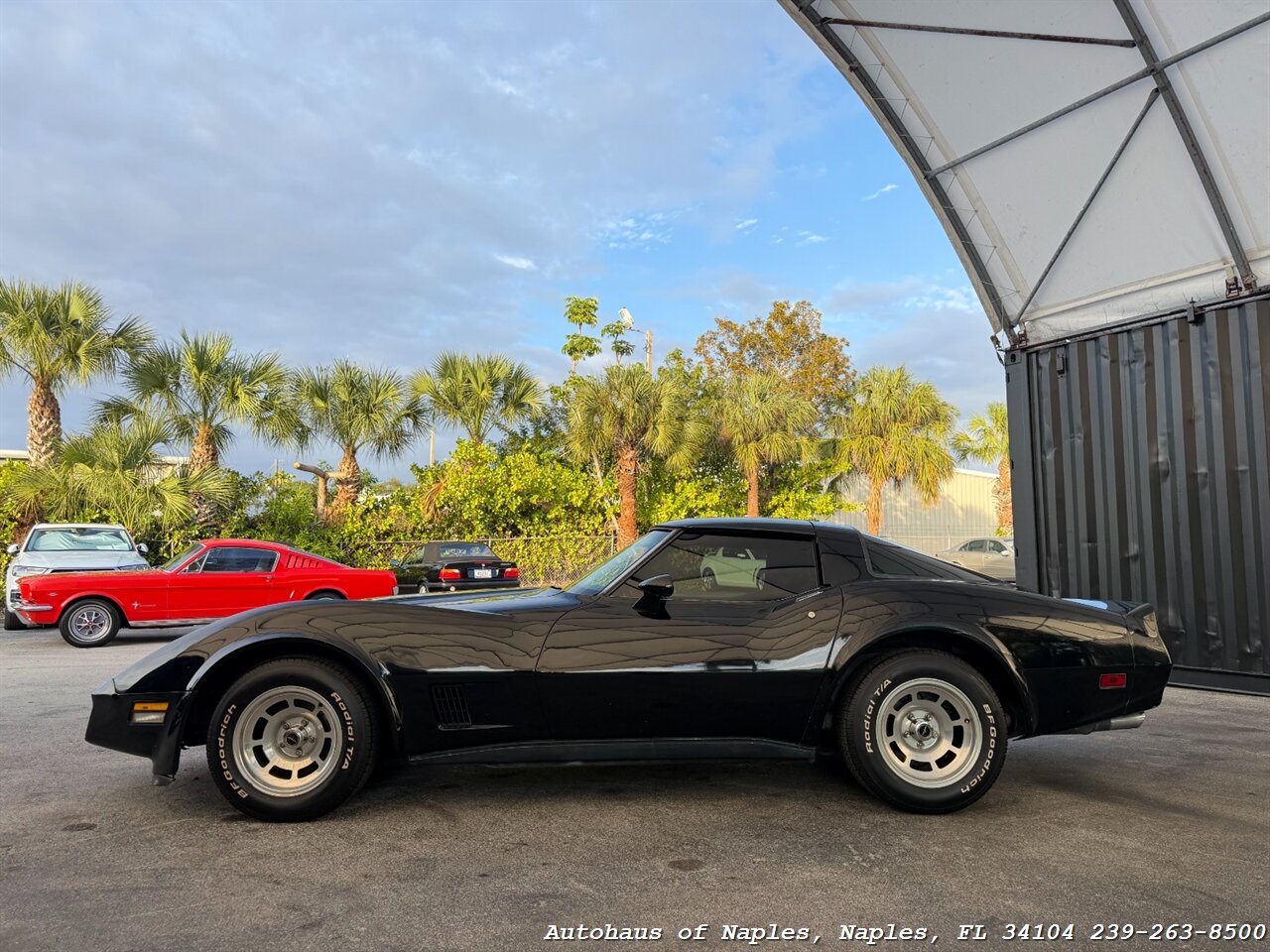 1981 Chevrolet Corvette   - Photo 7 - Naples, FL 34104