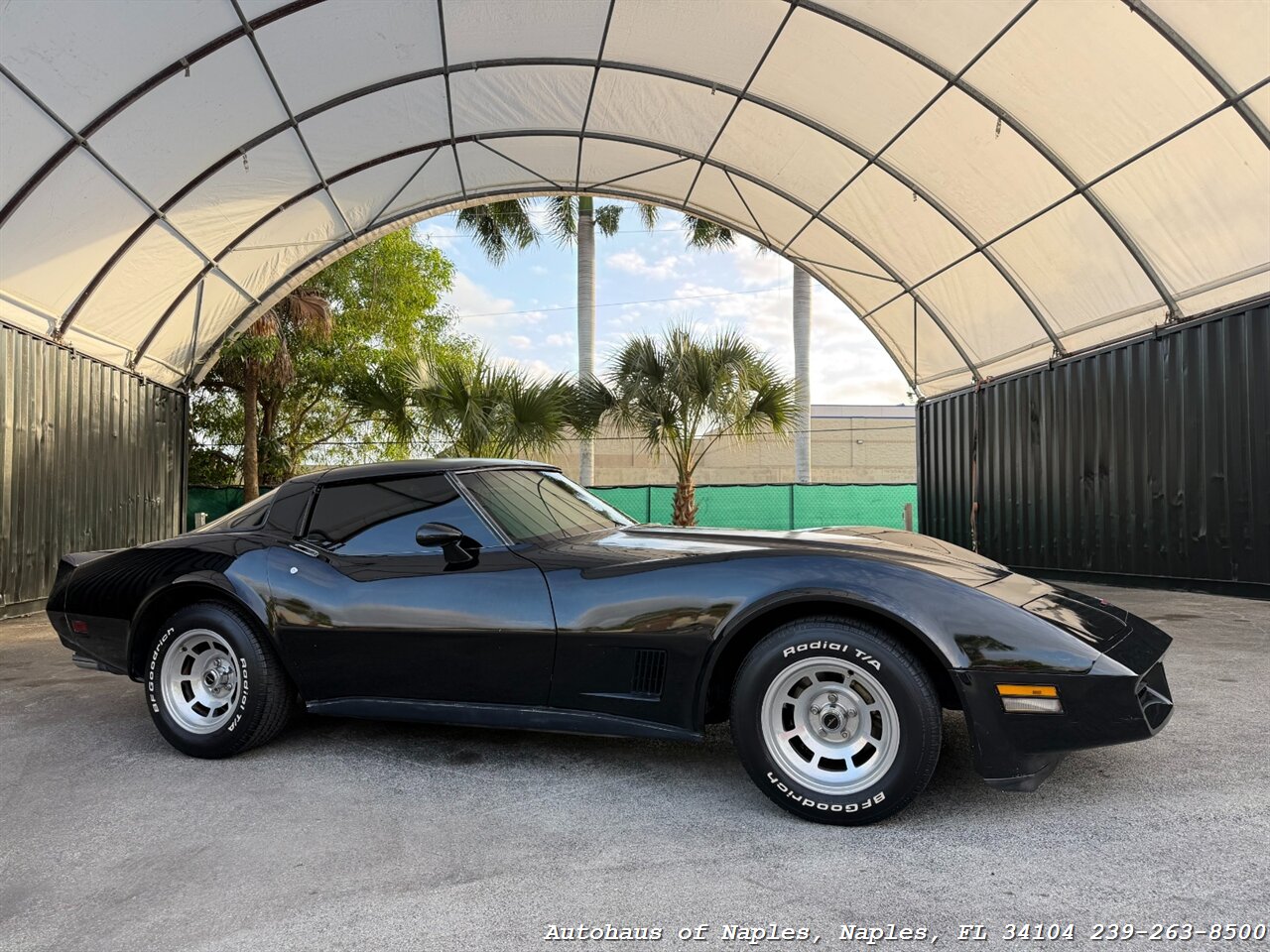 1981 Chevrolet Corvette   - Photo 2 - Naples, FL 34104