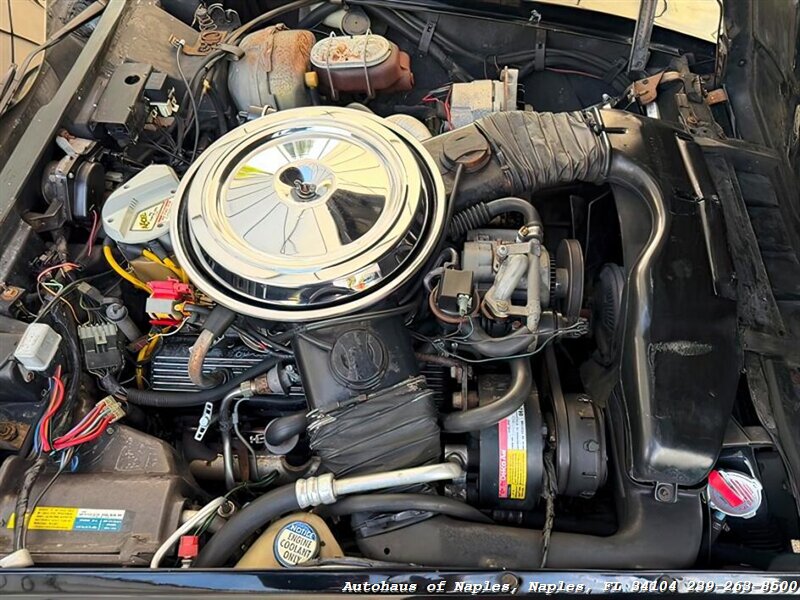1981 Chevrolet Corvette   - Photo 20 - Naples, FL 34104