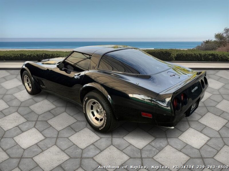 1981 Chevrolet Corvette   - Photo 9 - Naples, FL 34104