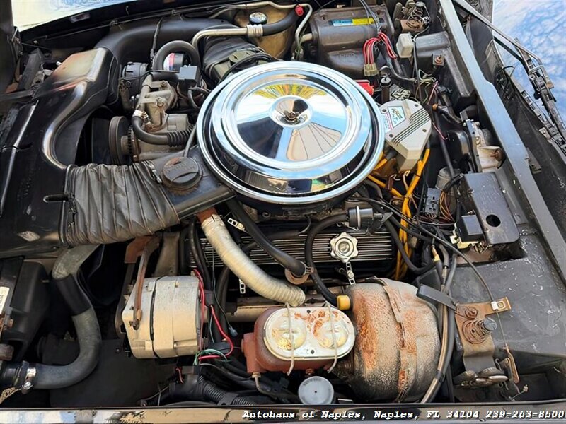 1981 Chevrolet Corvette   - Photo 19 - Naples, FL 34104