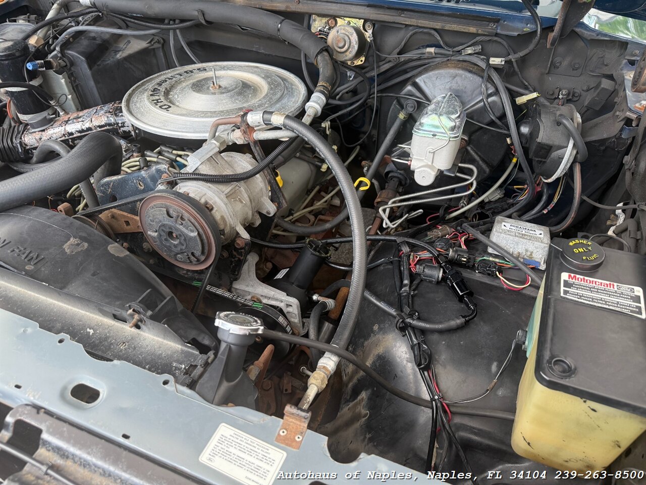 1986 Ford Bronco XLT 2dr XLT   - Photo 21 - Naples, FL 34104