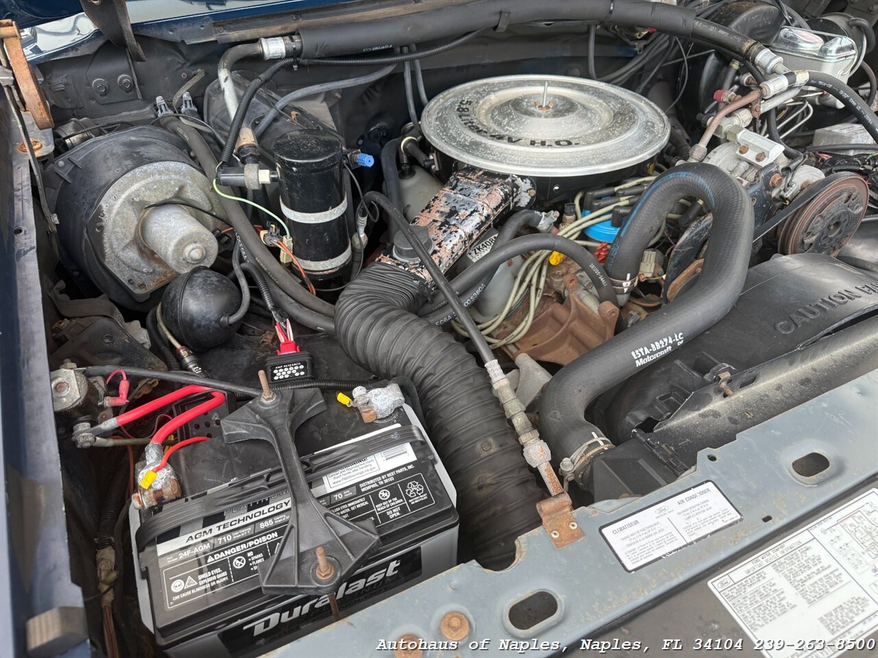 1986 Ford Bronco XLT 2dr XLT   - Photo 20 - Naples, FL 34104