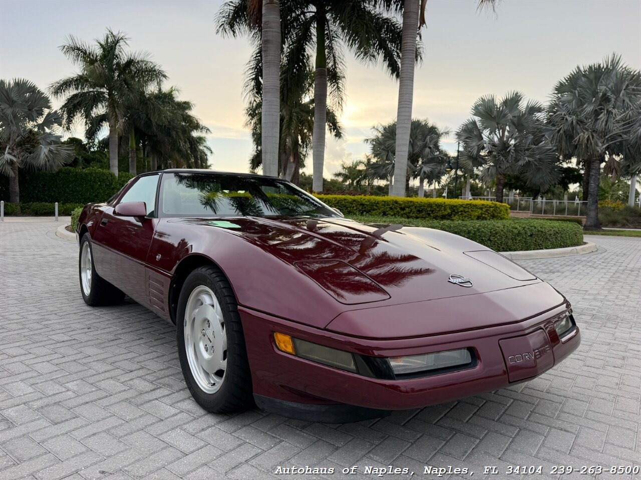 1993 Chevrolet Corvette 40th Anniversary - Photo 59 - Naples, FL 34104