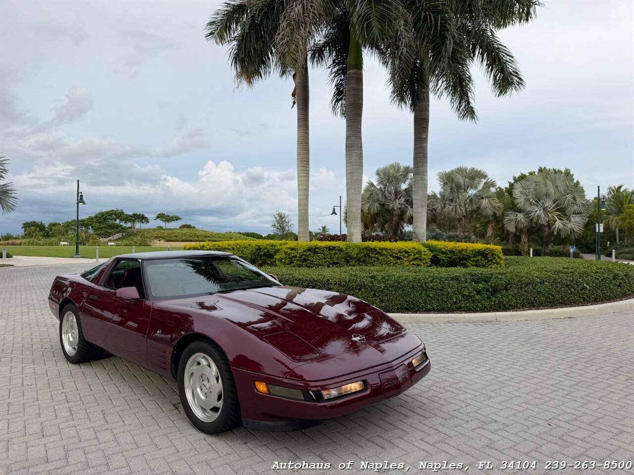 1993 Chevrolet Corvette 40th Anniversary - Photo 46 - Naples, FL 34104