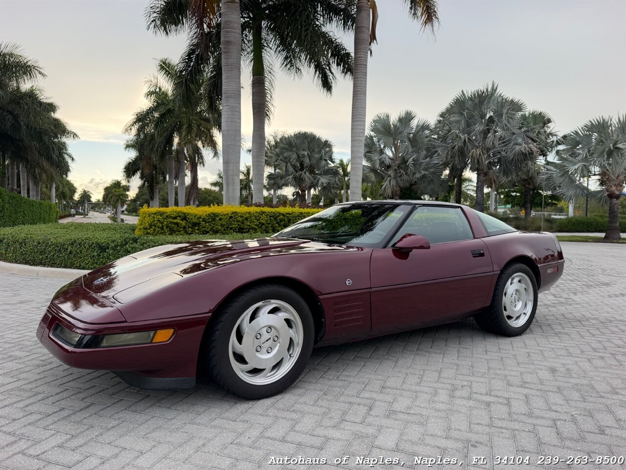 1993 Chevrolet Corvette 40th Anniversary - Photo 2 - Naples, FL 34104
