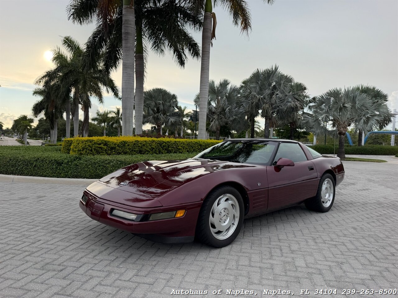 1993 Chevrolet Corvette 40th Anniversary - Photo 4 - Naples, FL 34104