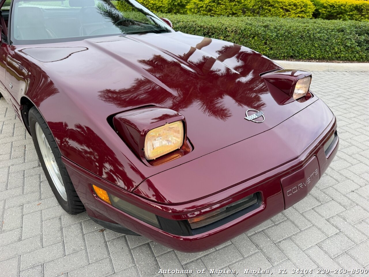 1993 Chevrolet Corvette 40th Anniversary - Photo 58 - Naples, FL 34104