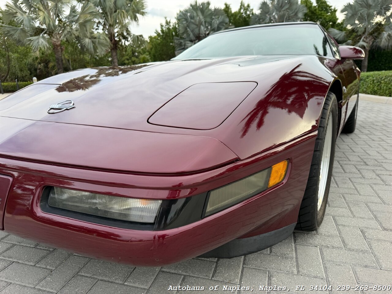 1993 Chevrolet Corvette 40th Anniversary - Photo 74 - Naples, FL 34104