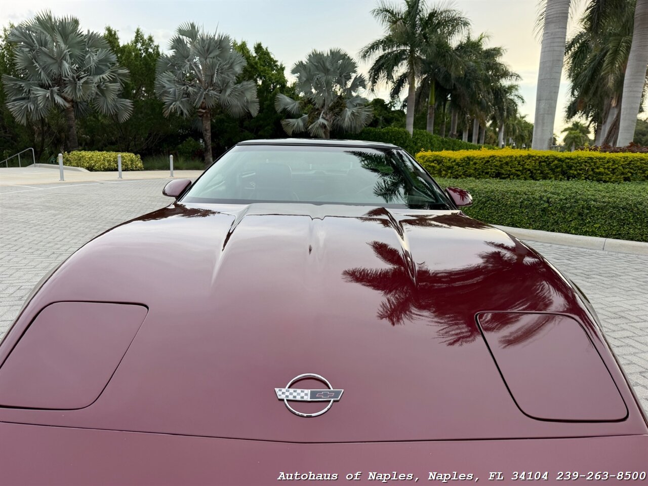 1993 Chevrolet Corvette 40th Anniversary - Photo 62 - Naples, FL 34104