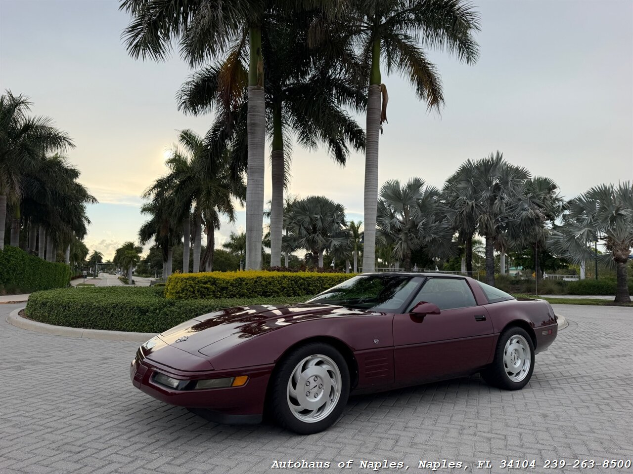 1993 Chevrolet Corvette 40th Anniversary - Photo 3 - Naples, FL 34104