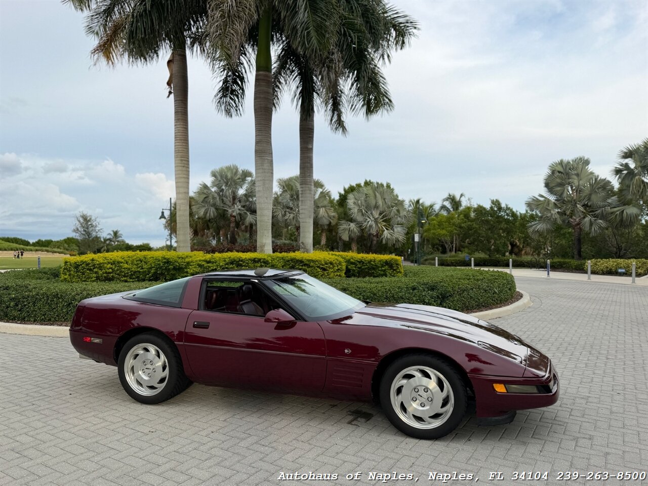 1993 Chevrolet Corvette 40th Anniversary - Photo 42 - Naples, FL 34104