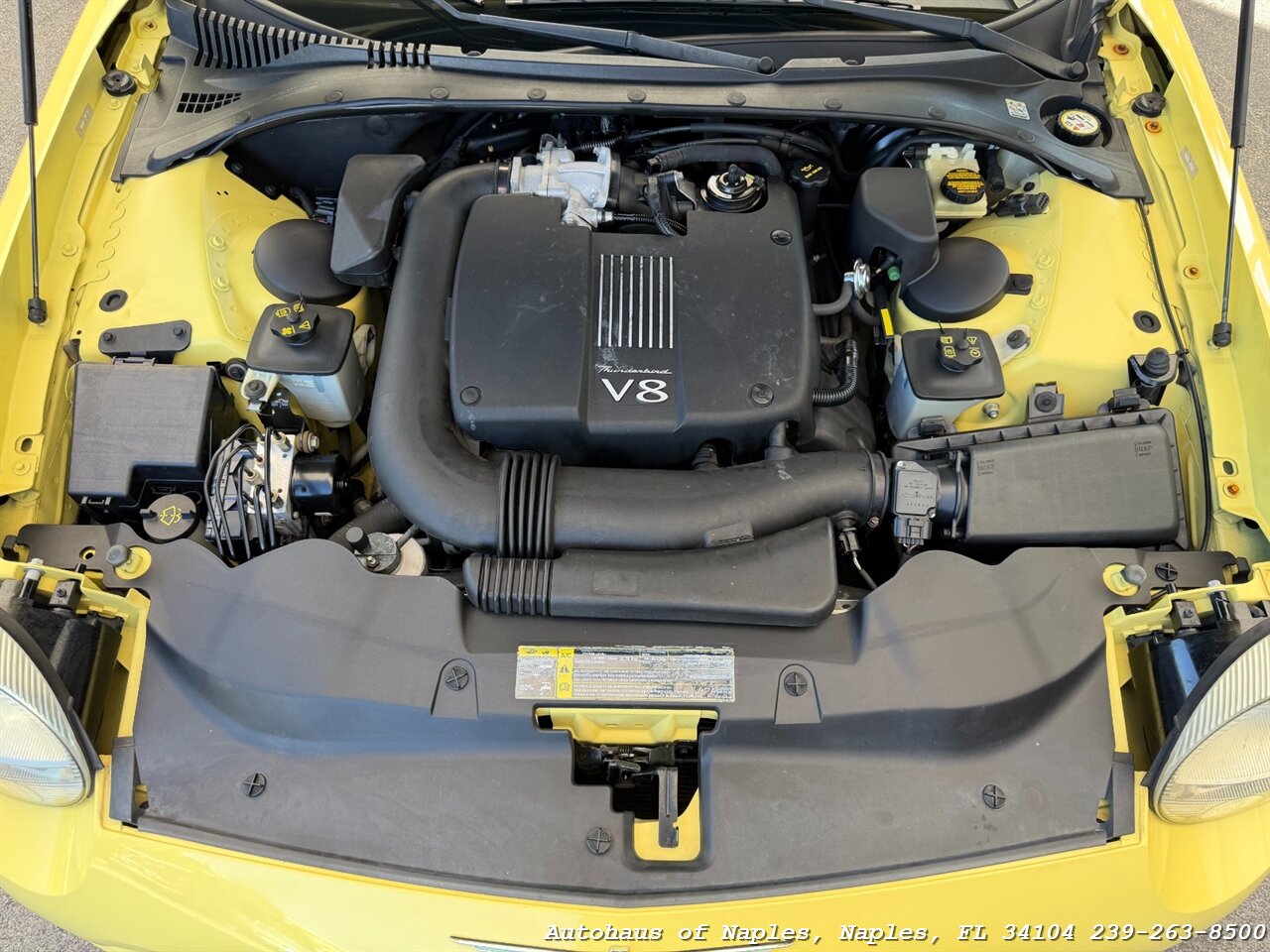 2002 Ford Thunderbird Deluxe   - Photo 23 - Naples, FL 34104