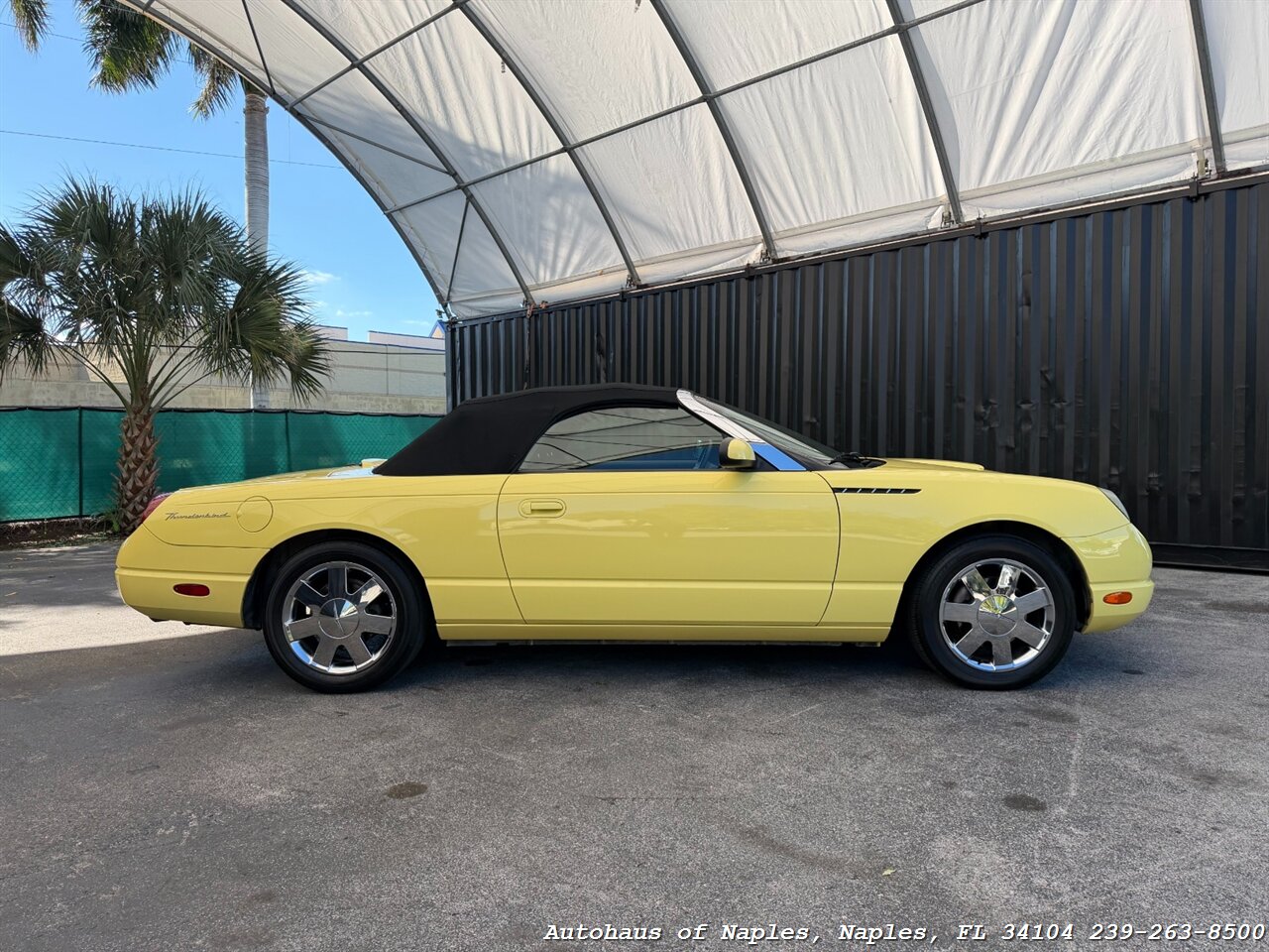 2002 Ford Thunderbird Deluxe   - Photo 11 - Naples, FL 34104