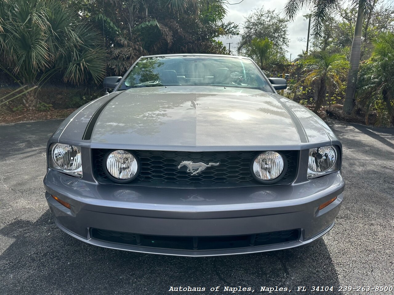 2006 Ford Mustang GT Deluxe   - Photo 12 - Naples, FL 34104