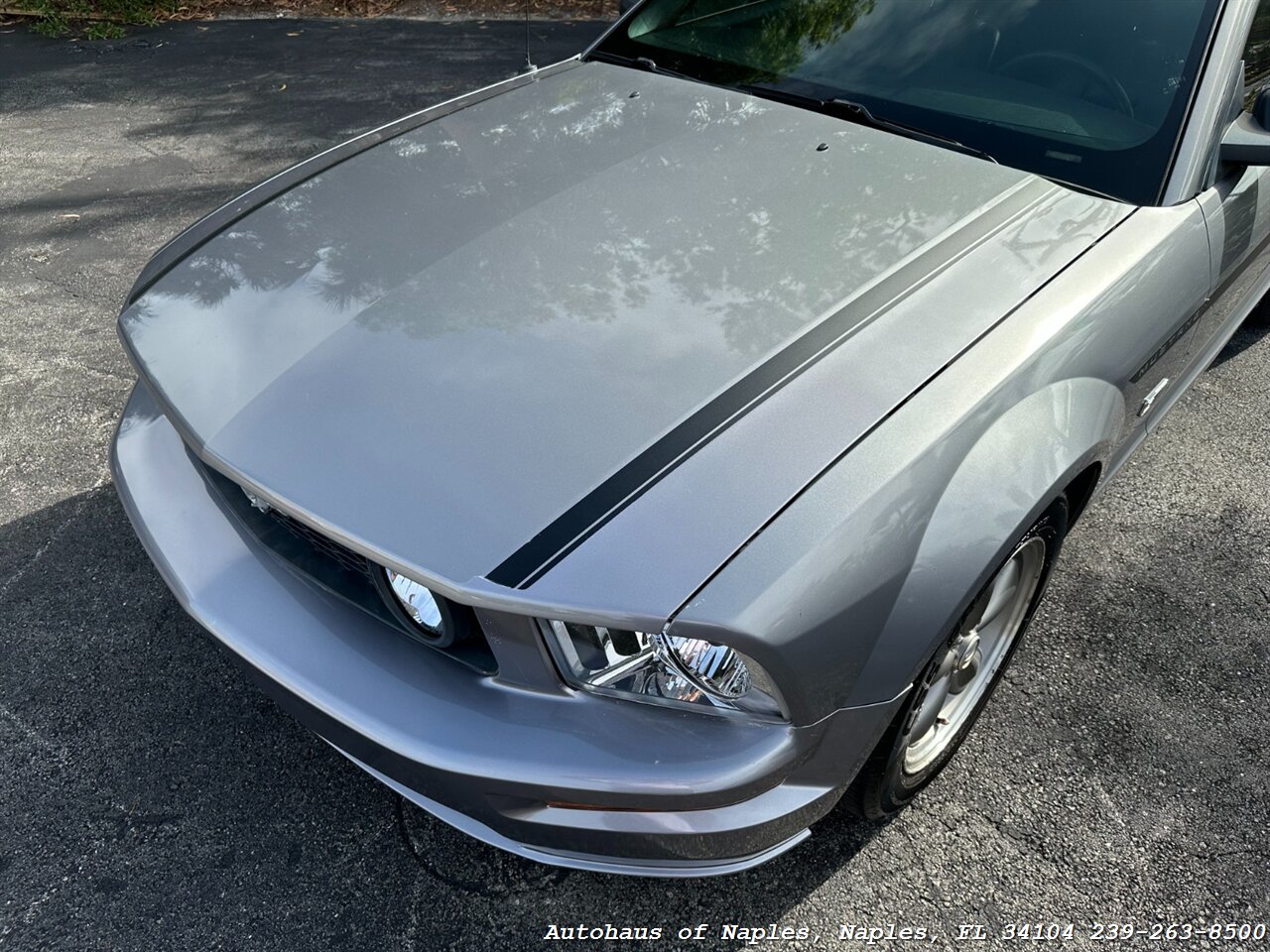 2006 Ford Mustang GT Deluxe   - Photo 8 - Naples, FL 34104