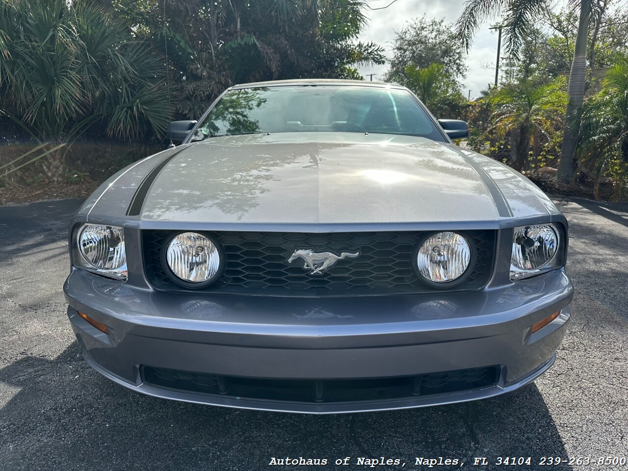 2006 Ford Mustang GT Deluxe   - Photo 3 - Naples, FL 34104