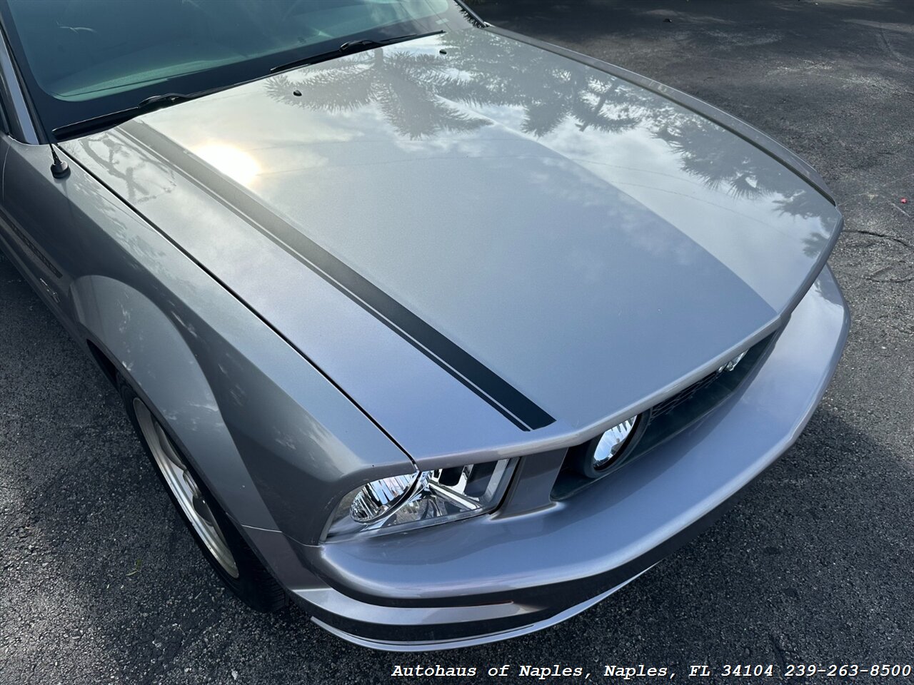 2006 Ford Mustang GT Deluxe   - Photo 6 - Naples, FL 34104