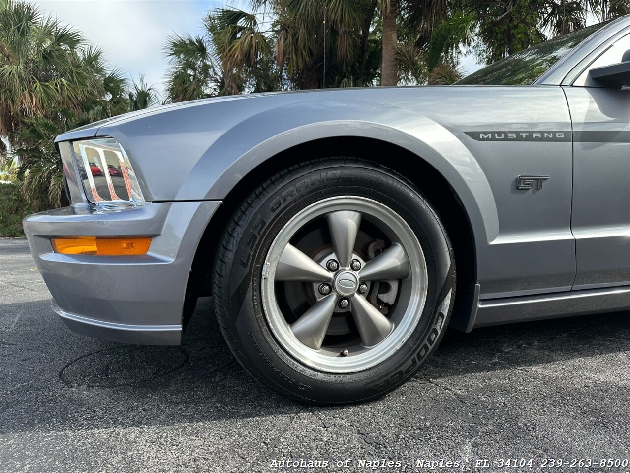 2006 Ford Mustang GT Deluxe   - Photo 9 - Naples, FL 34104