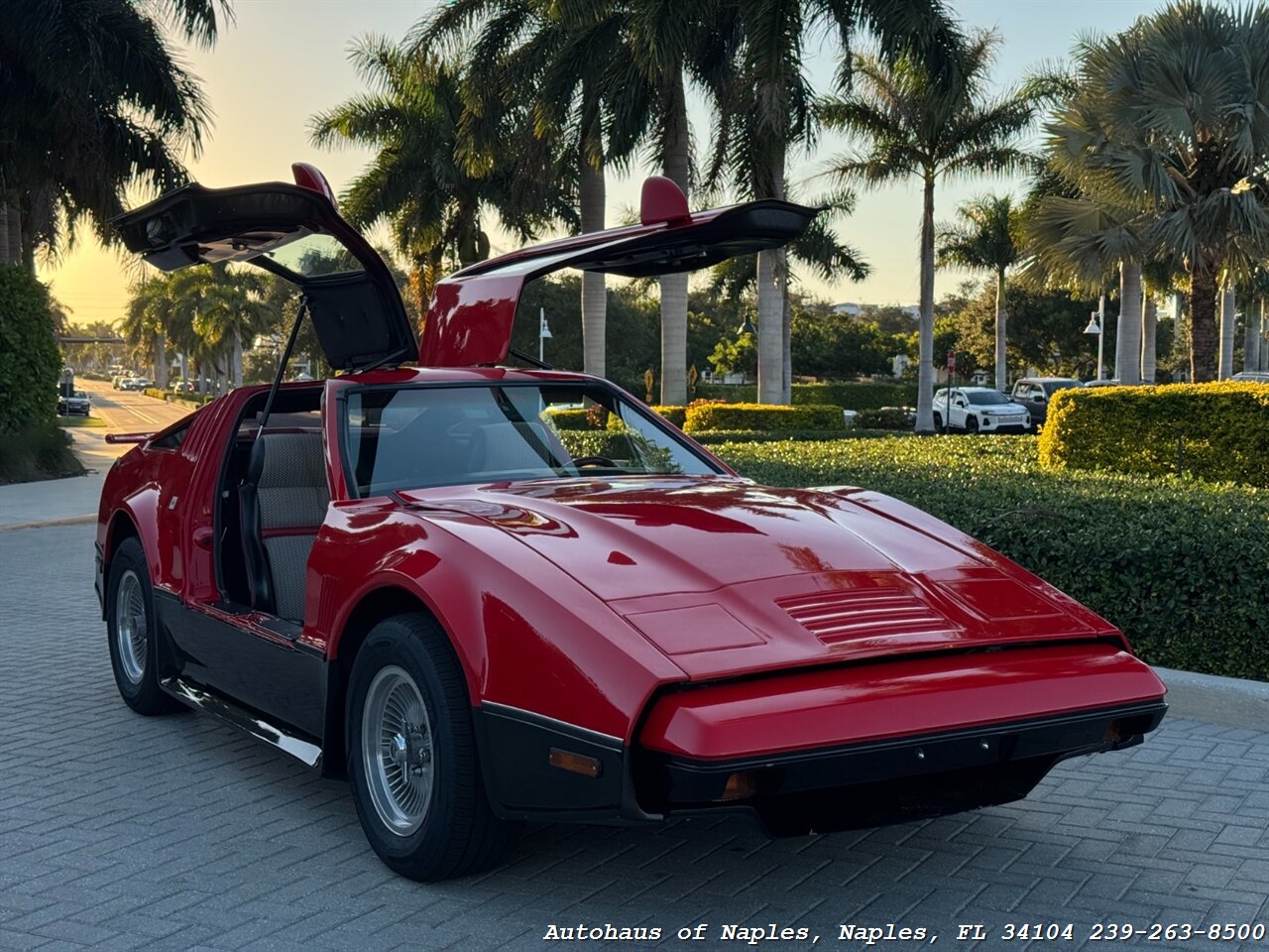 1975 BRICKLIN SV1 - Photo 6 - Naples, FL 34104
