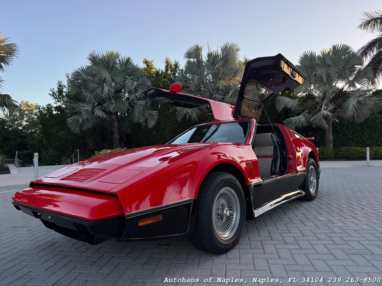 1975 BRICKLIN SV1 - Photo 5 - Naples, FL 34104
