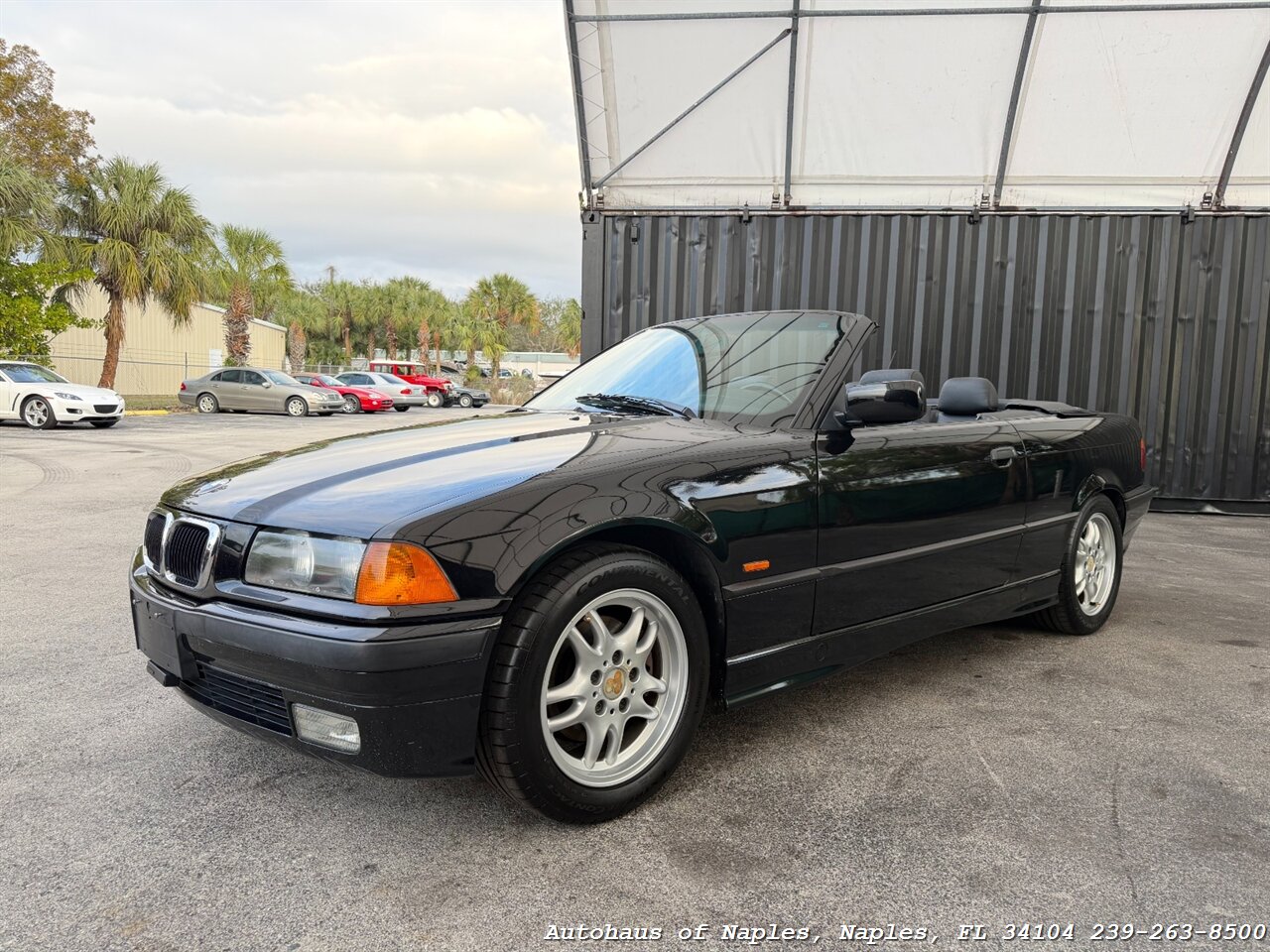 1999 BMW 323i - Photo 4 - Naples, FL 34104