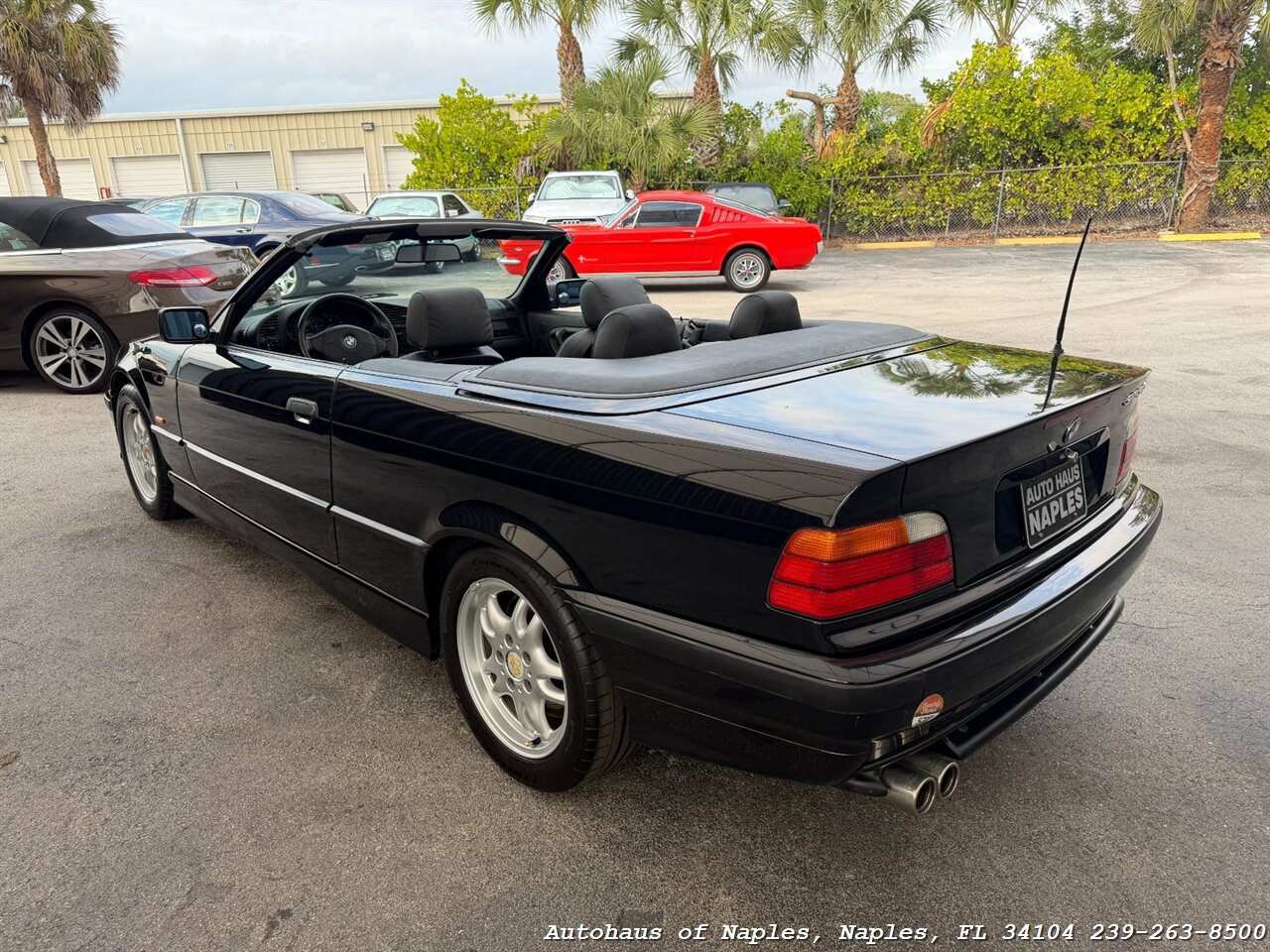 1999 BMW 323i - Photo 6 - Naples, FL 34104