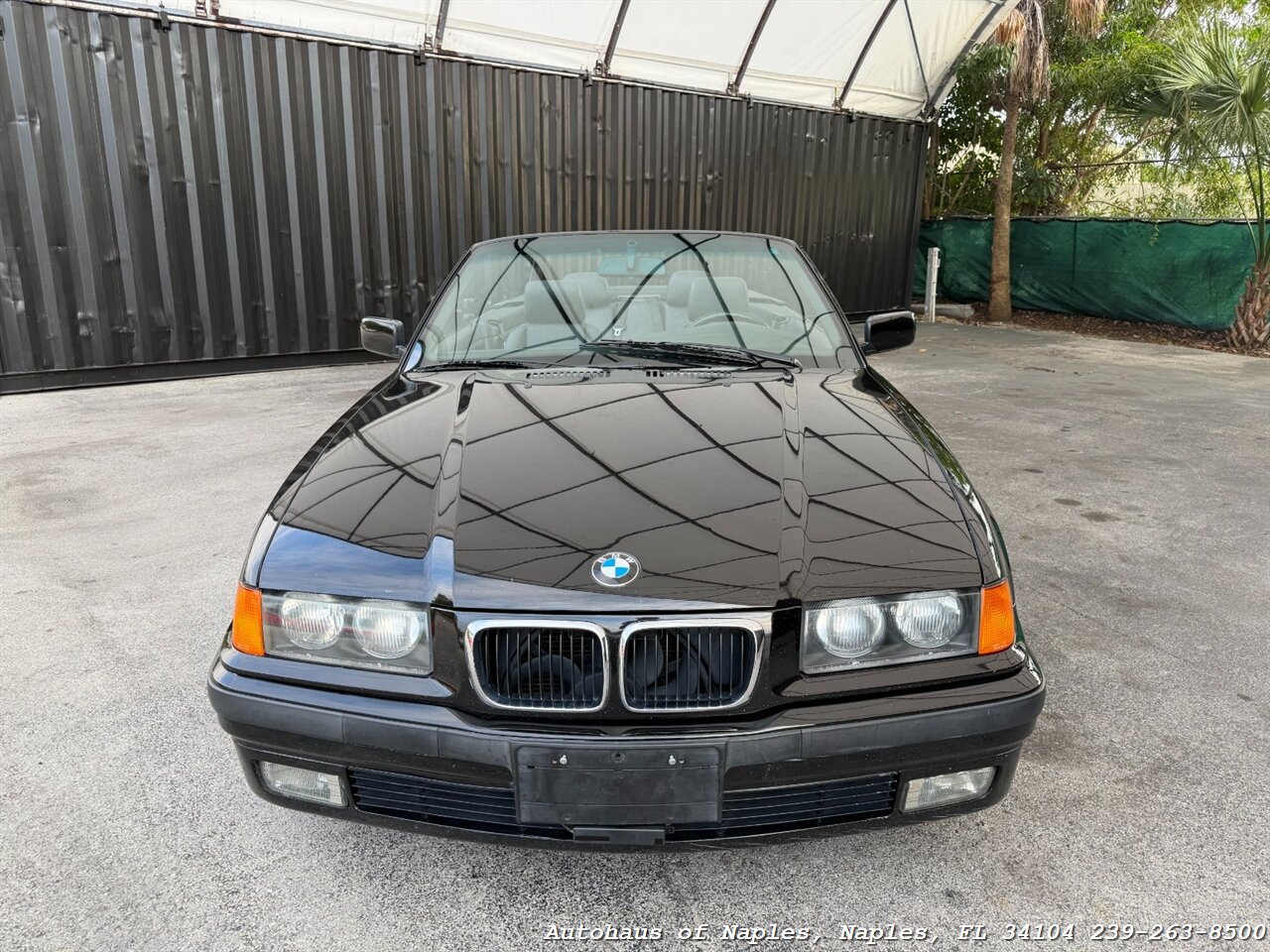 1999 BMW 323i - Photo 3 - Naples, FL 34104