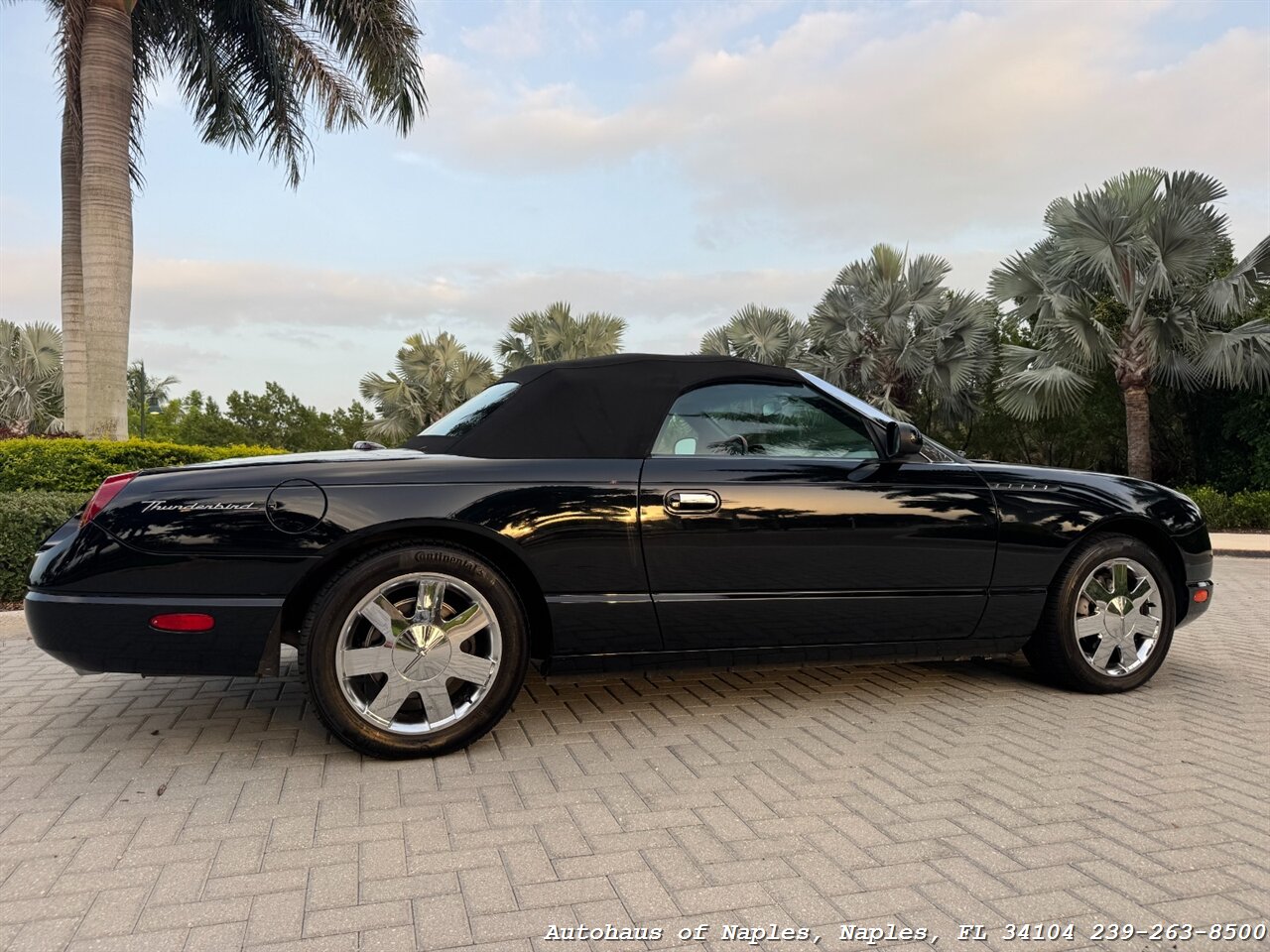 2002 Ford Thunderbird Deluxe - Photo 10 - Naples, FL 34104