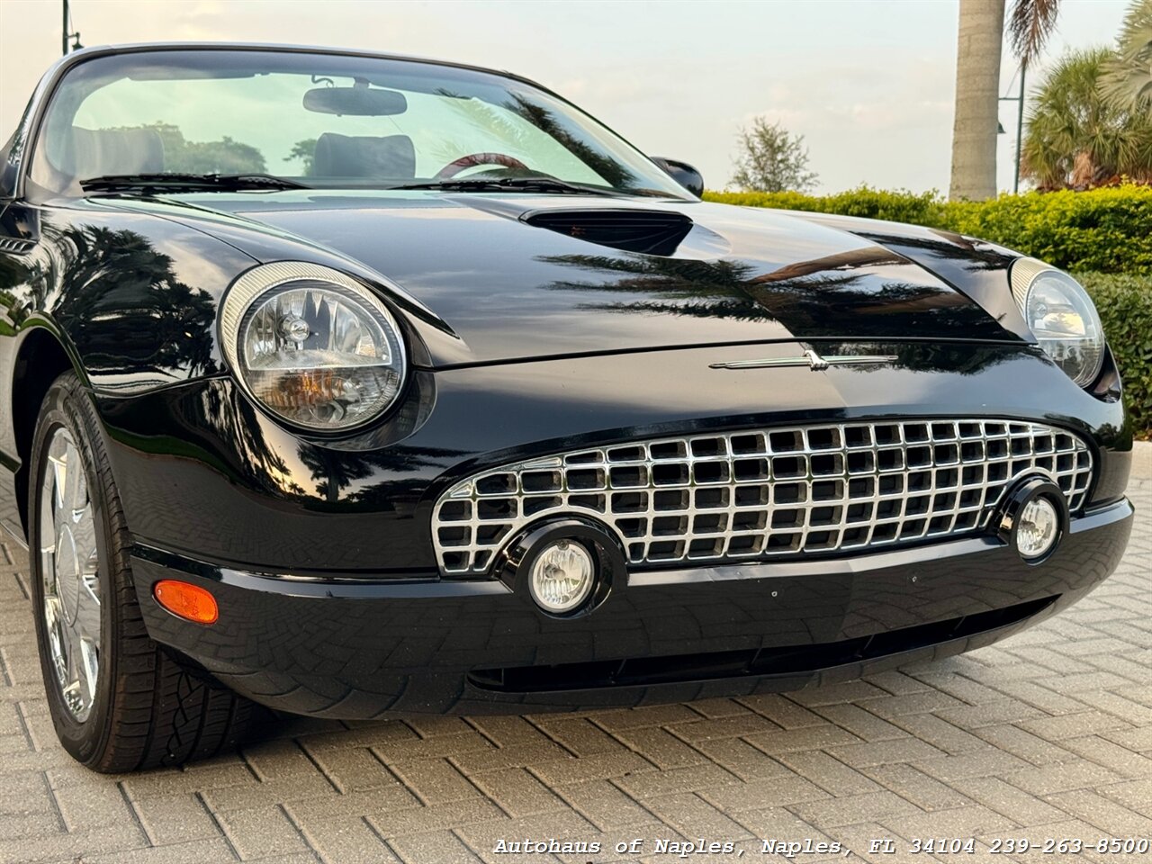 2002 Ford Thunderbird Deluxe - Photo 5 - Naples, FL 34104