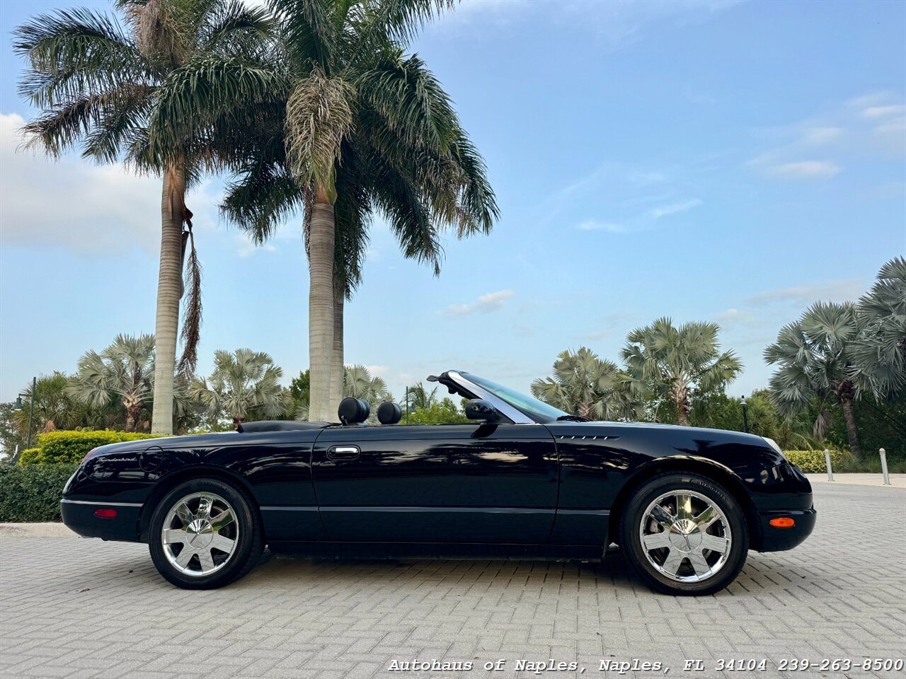 2002 Ford Thunderbird Deluxe - Photo 6 - Naples, FL 34104