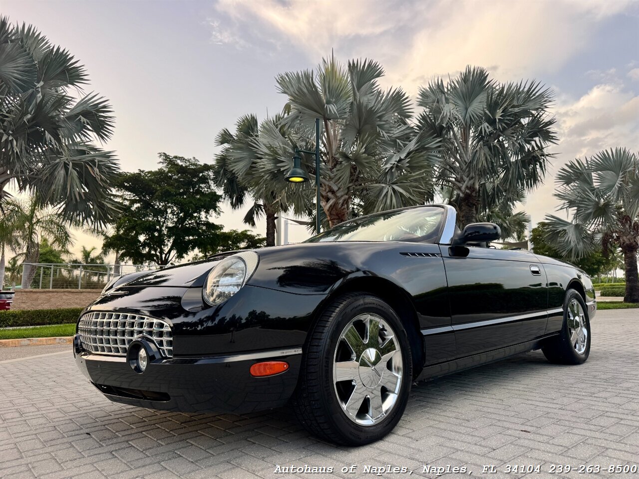 2002 Ford Thunderbird Deluxe - Photo 8 - Naples, FL 34104