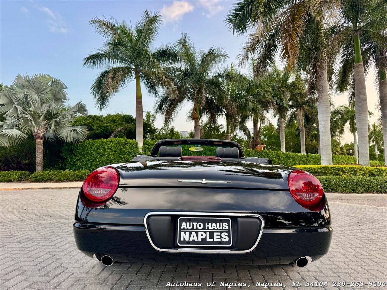2002 Ford Thunderbird Deluxe - Photo 3 - Naples, FL 34104