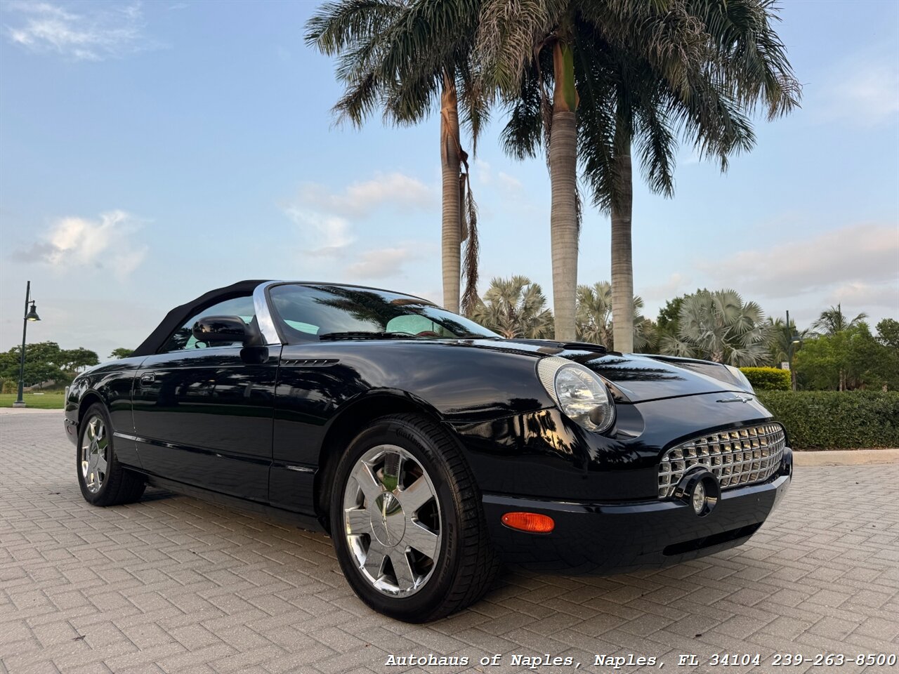 2002 Ford Thunderbird Deluxe - Photo 9 - Naples, FL 34104