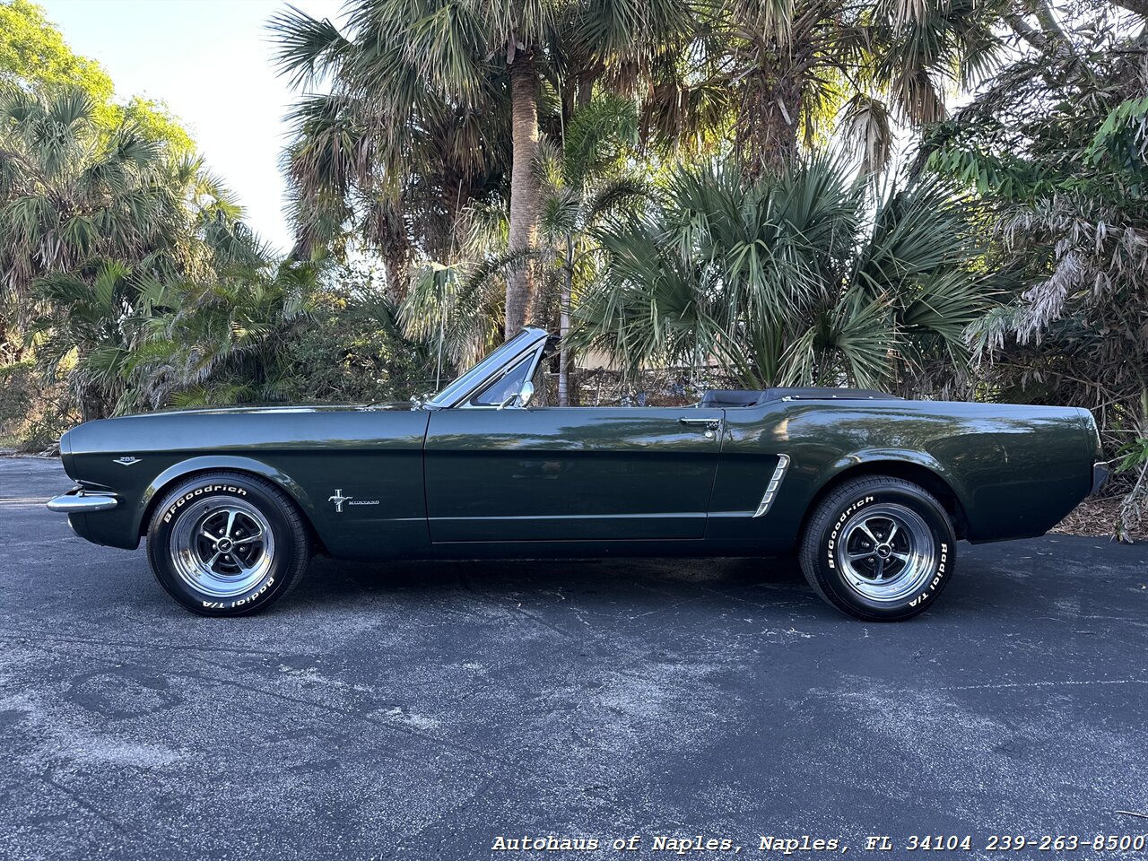 1965 Ford Mustang 289ci V8 Convertible   - Photo 5 - Naples, FL 34104