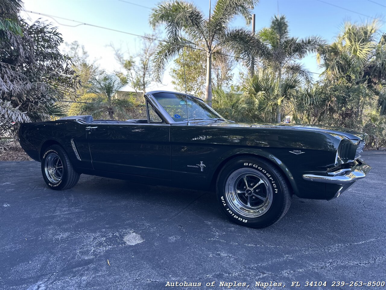 1965 Ford Mustang 289ci V8 Convertible   - Photo 2 - Naples, FL 34104