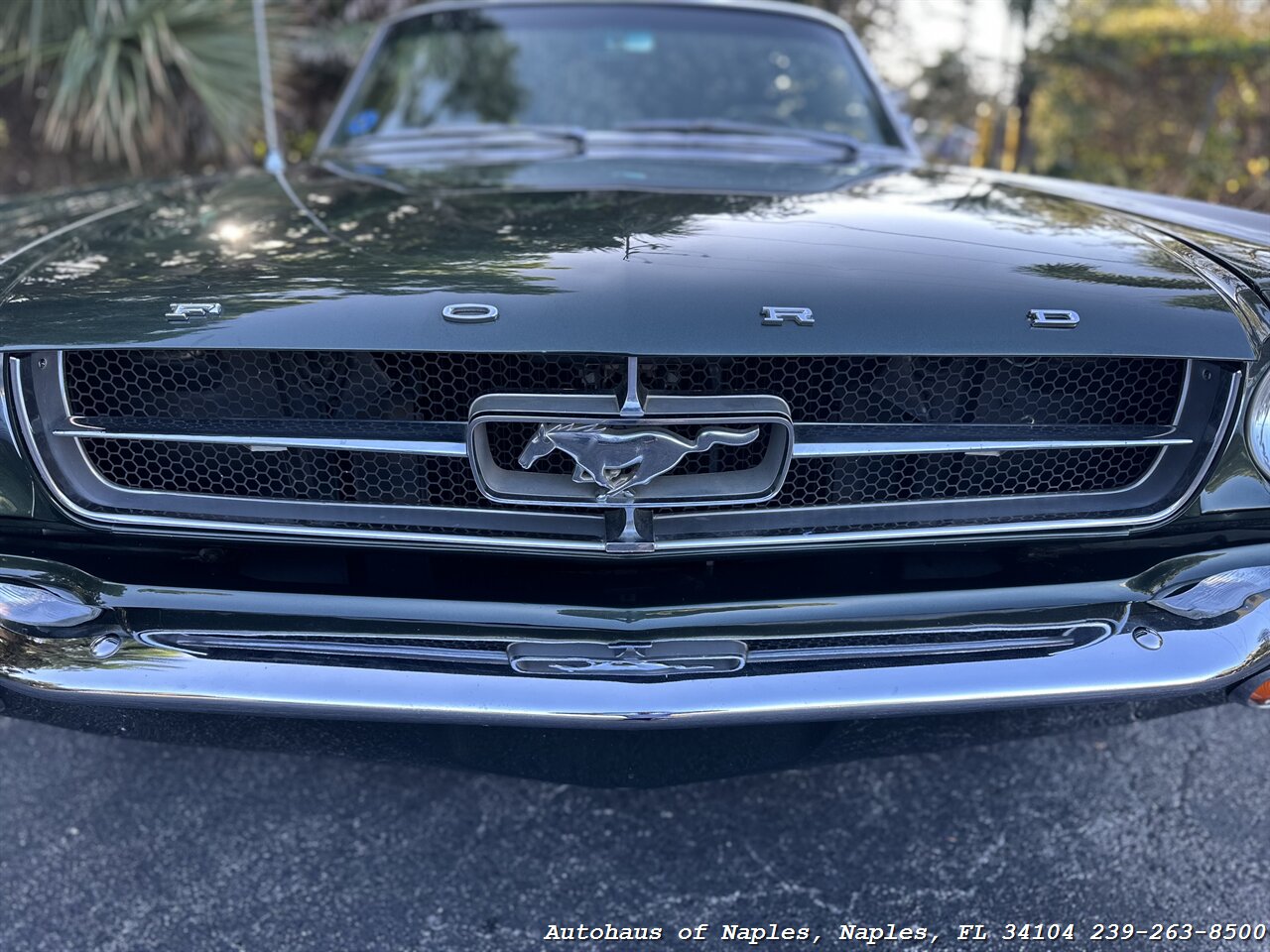 1965 Ford Mustang 289ci V8 Convertible   - Photo 10 - Naples, FL 34104