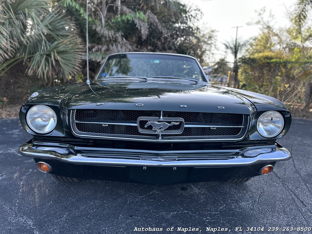 1965 Ford Mustang 289ci V8 Convertible   - Photo 3 - Naples, FL 34104