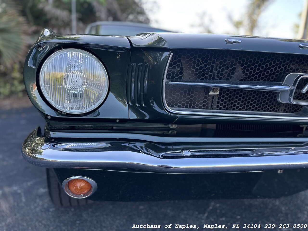 1965 Ford Mustang 289ci V8 Convertible   - Photo 9 - Naples, FL 34104