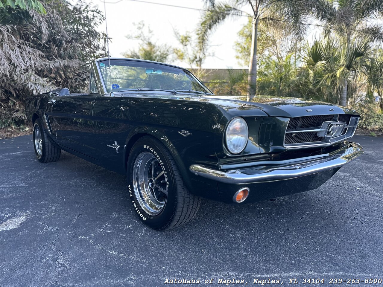 1965 Ford Mustang 289ci V8 Convertible   - Photo 1 - Naples, FL 34104