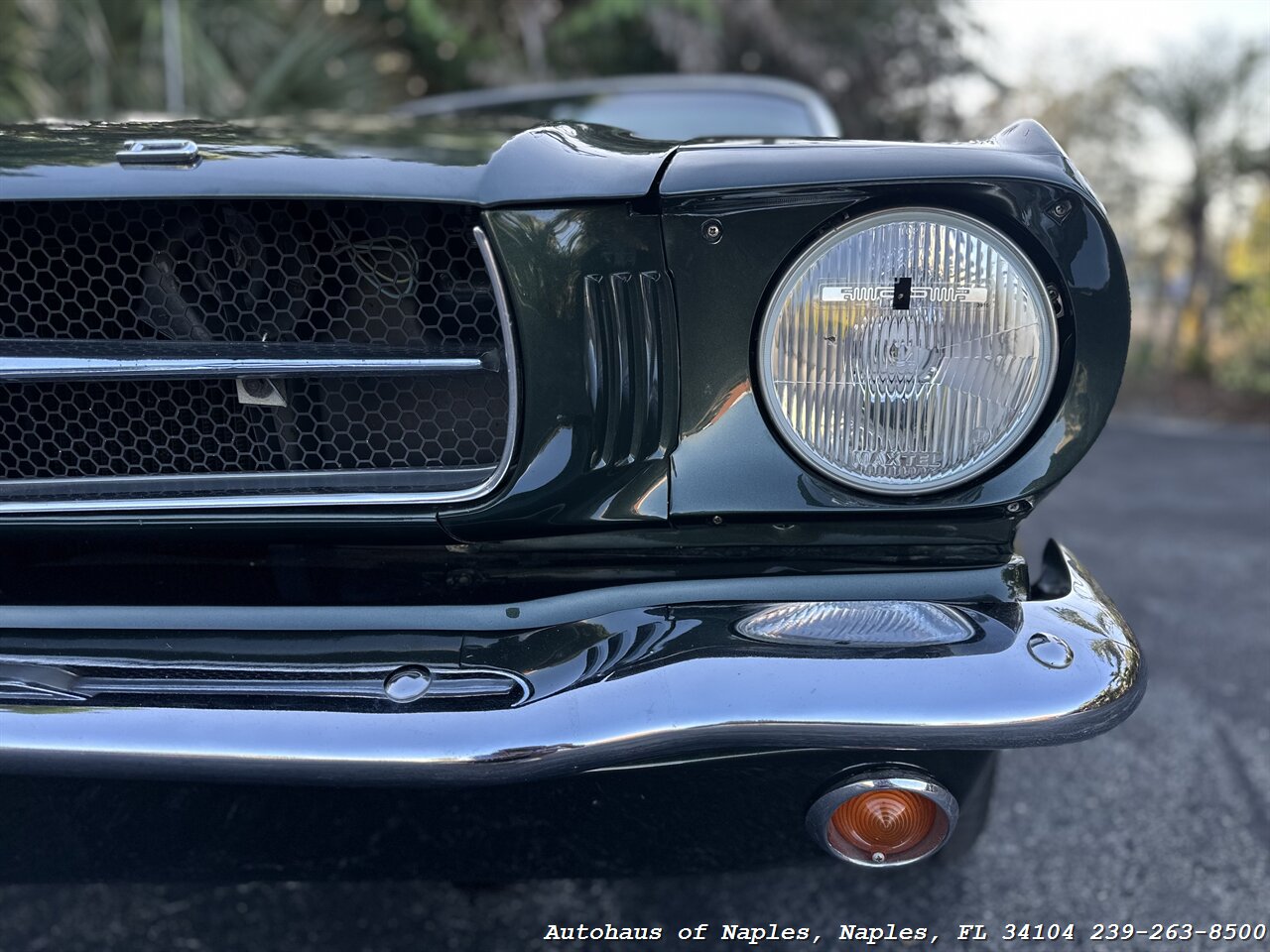 1965 Ford Mustang 289ci V8 Convertible   - Photo 11 - Naples, FL 34104