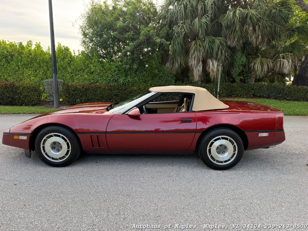 1987 Chevrolet Corvette   - Photo 10 - Naples, FL 34104